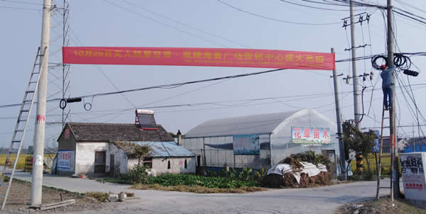 凰騰·海姜廣場鄉村（鎮）條幅制作安裝