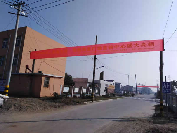 凰騰·海姜廣場鄉村（鎮）條幅制作安裝