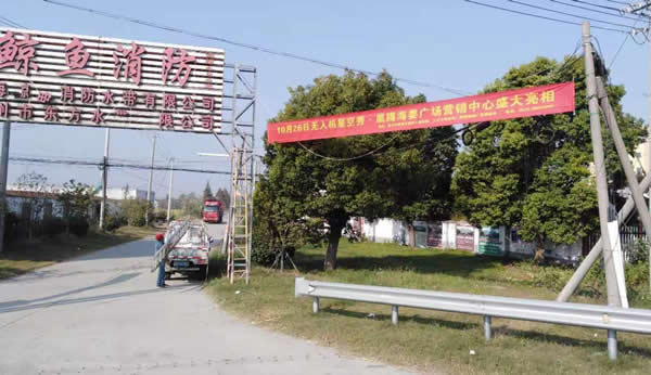 凰騰·海姜廣場鄉村（鎮）條幅制作安裝